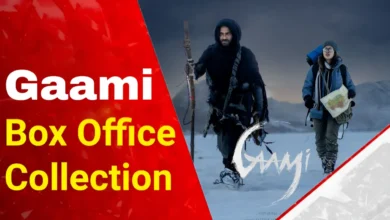 Gaami Box Office Collection Worldwide Day Wise Budget Hit Or Flop